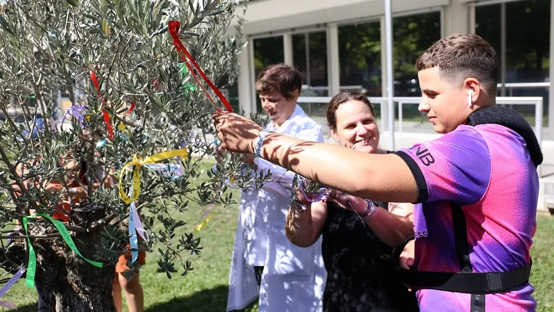 Décoration de l'Oli'VIE