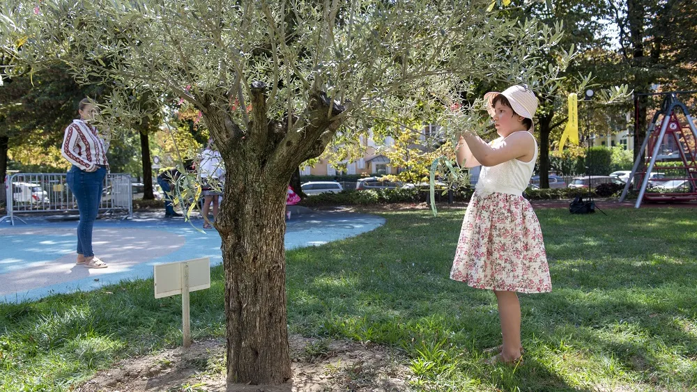 Décoration de l'Oli'VIE