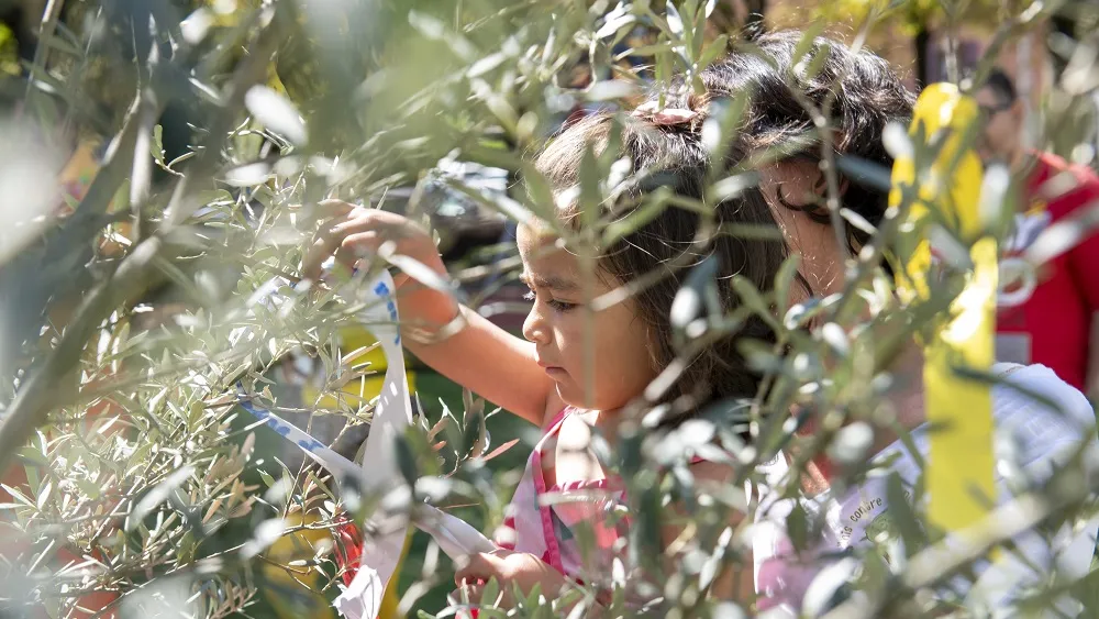 Décoration de l'Oli'VIE