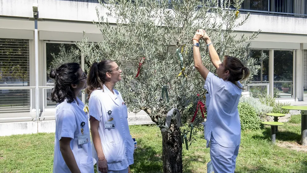 Décoration de l'Oli'VIE