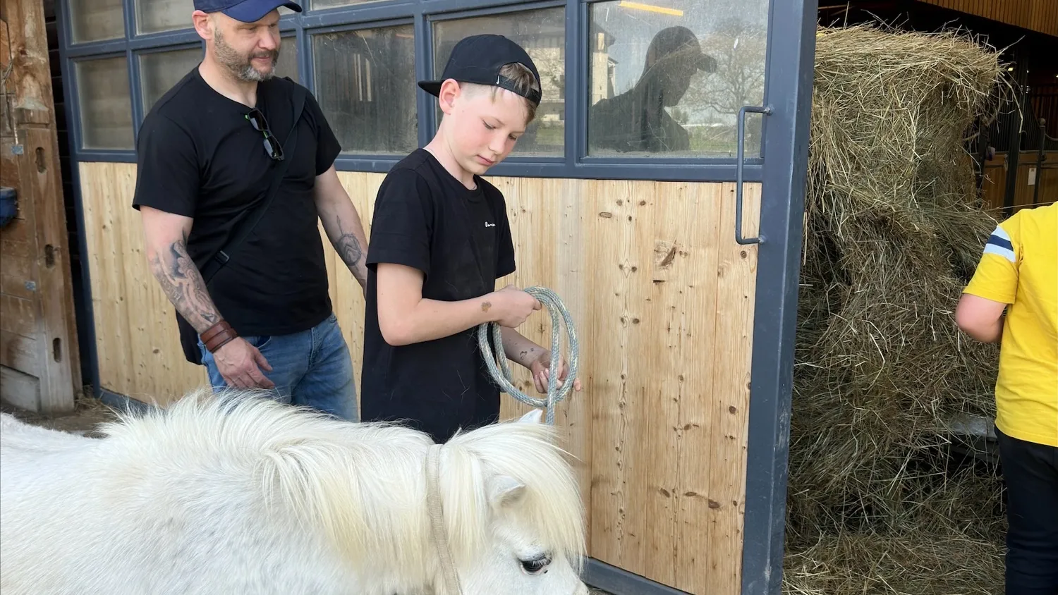 Equithérapie - Centre CORAIL