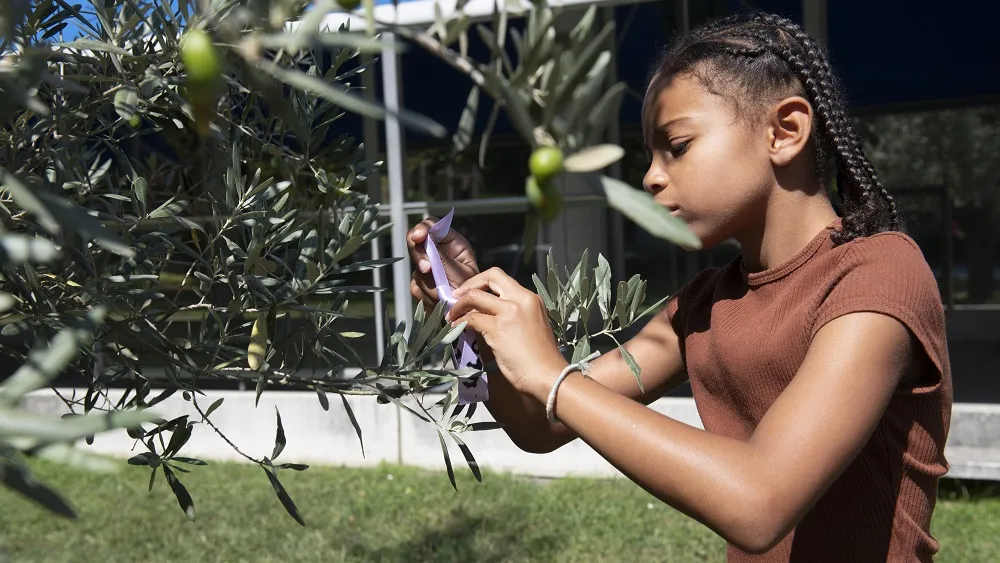 Décoration de l'Oli'VIE