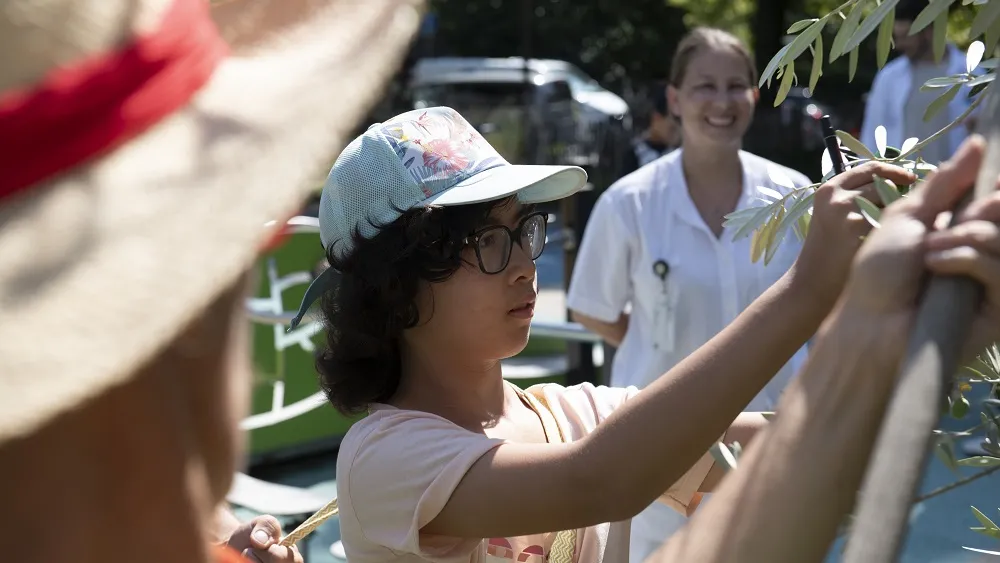 Décoration de l'Oli'VIE