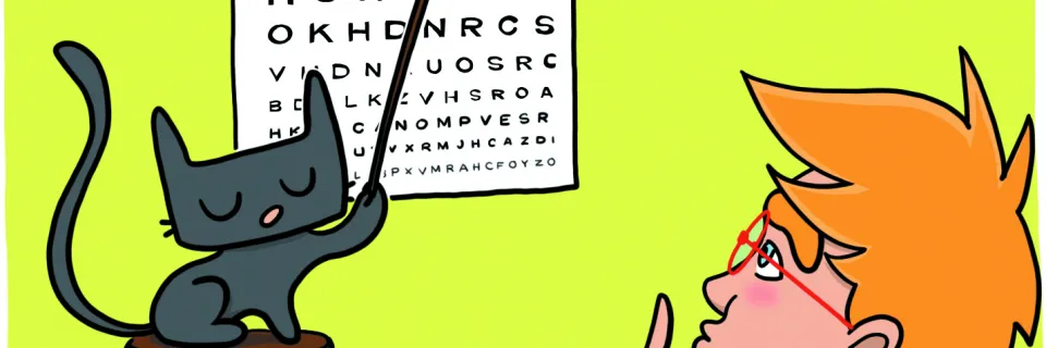 lunettes