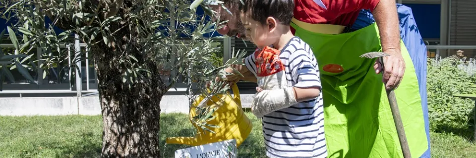 Décoration de l'Oli'VIE